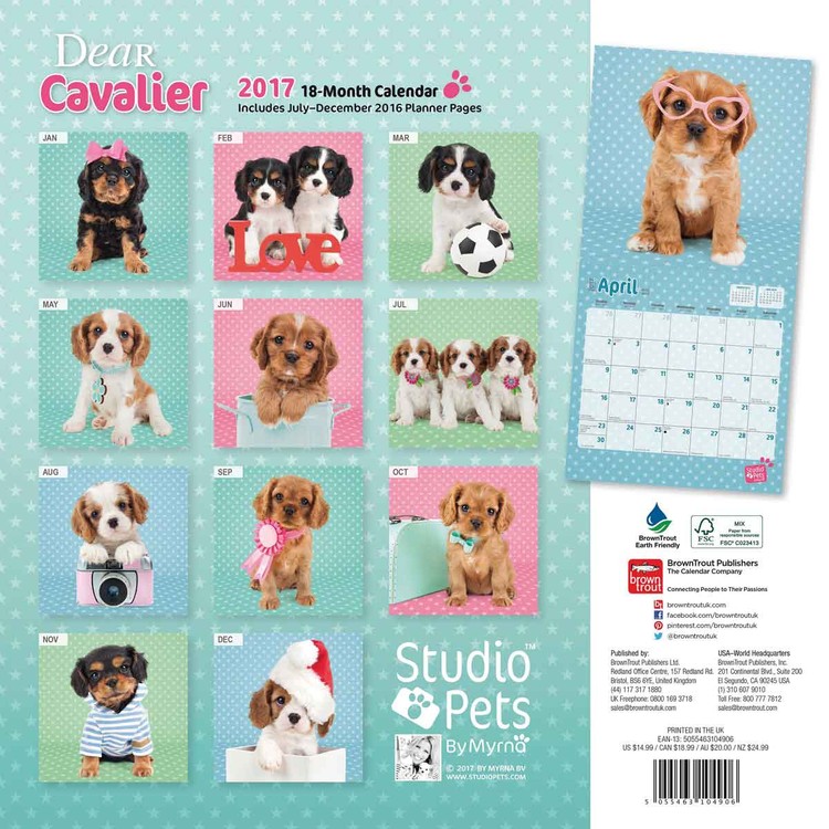Calendar 2021 Dear Cavalier