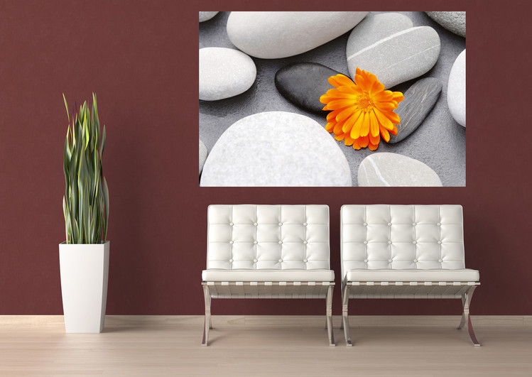 Papel de parede ACHIM SASS - heart among stones