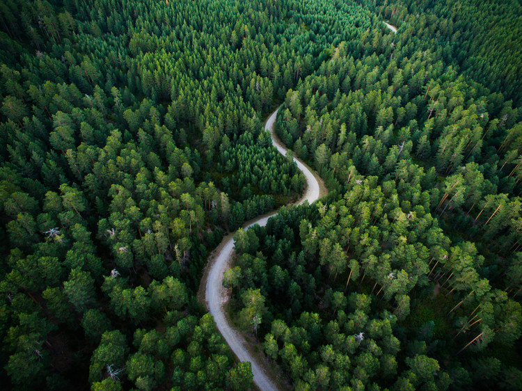 Papel de parede Aerial road crossing the forest