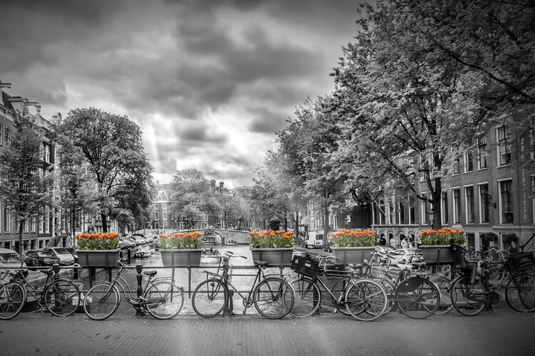 Papel de parede AMSTERDAM Herengracht