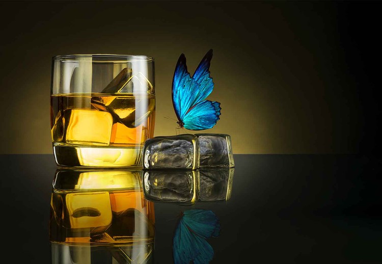 Papel de parede Butterfly Drink