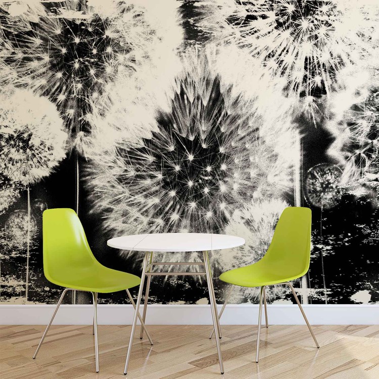 Papel de parede Dandelion Black White