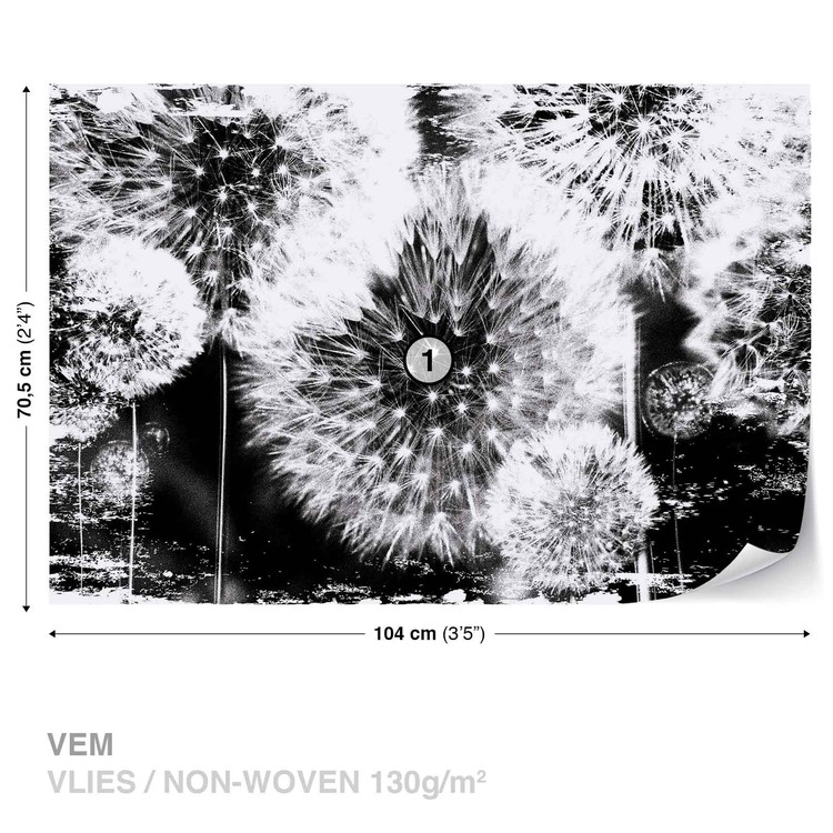 Papel de parede Dandelion Black White