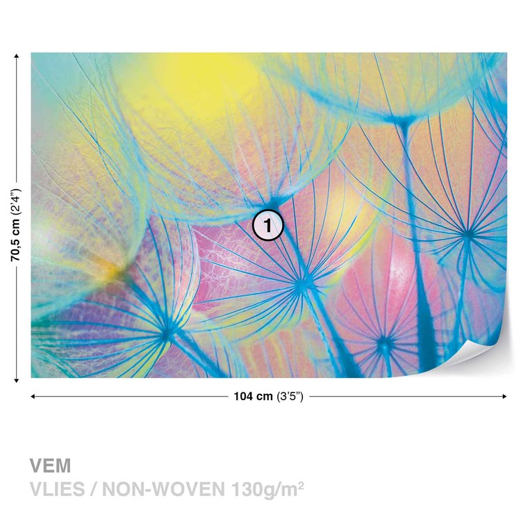 Papel de parede Flower Dandelion