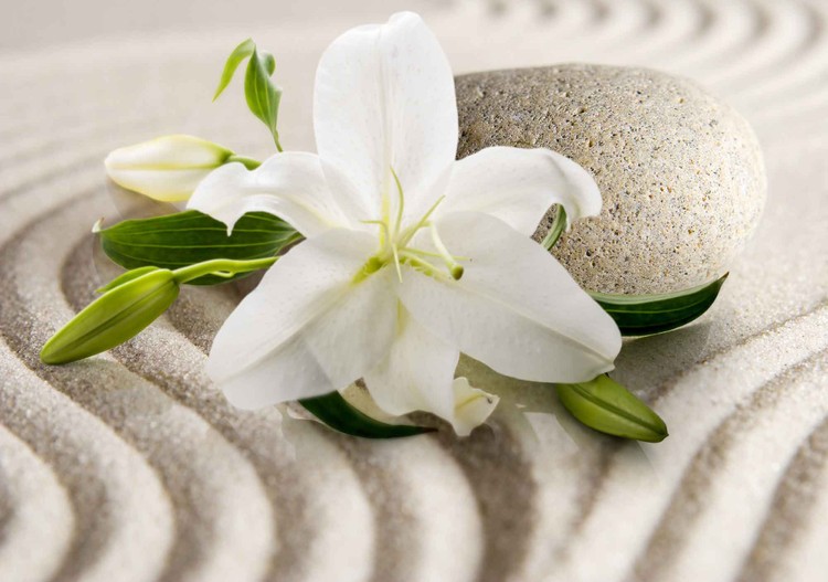 Papel de parede Flower Sand
