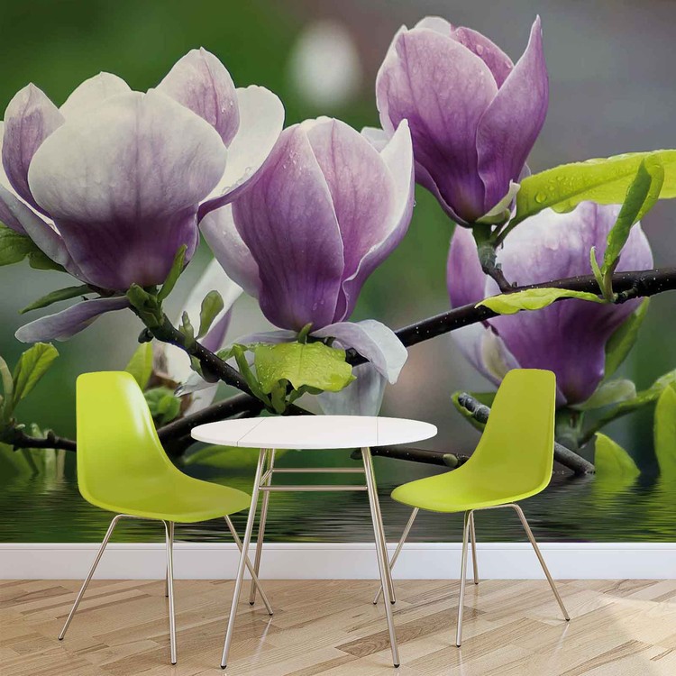 Papel de parede Flowers Magnolia Water