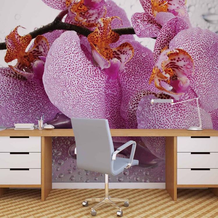 Papel de parede Flowers Orchids Drops