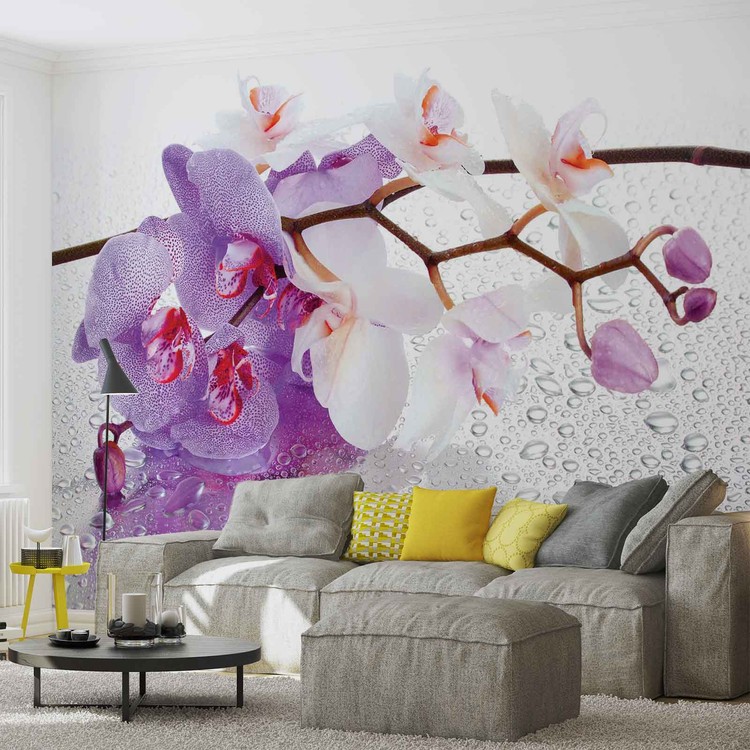 Papel de parede Flowers Orchids Nature Drops