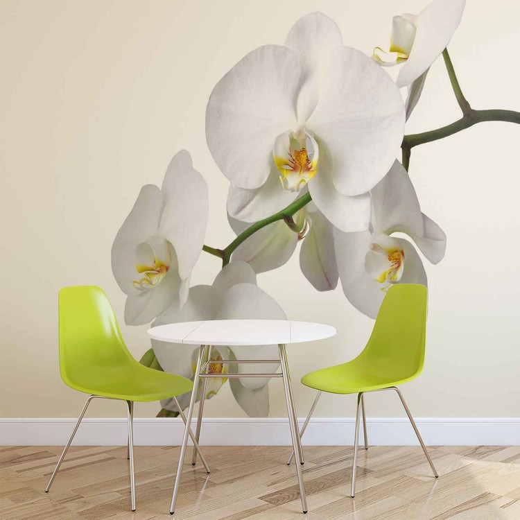 Papel de parede Flowers Orchids Nature White