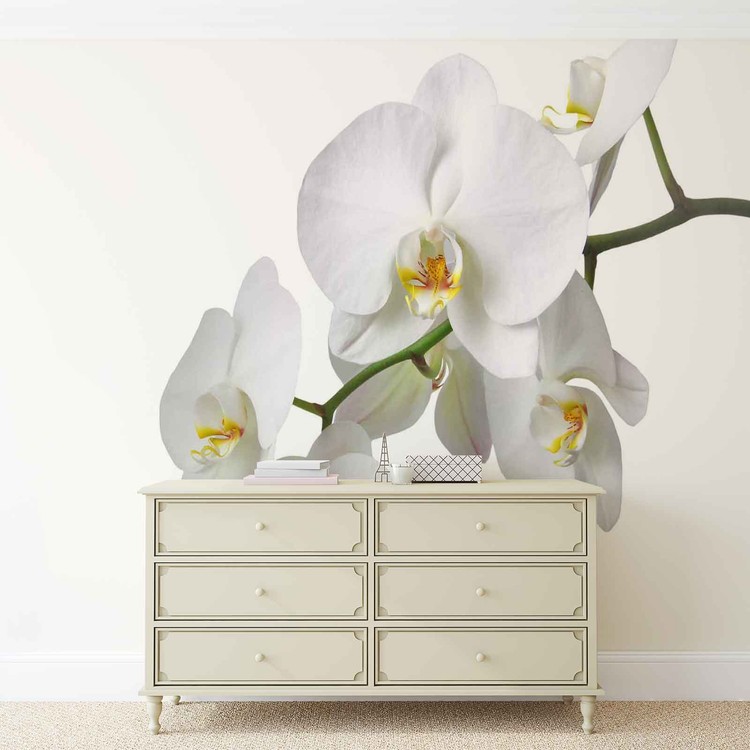 Papel de parede Flowers Orchids Nature White