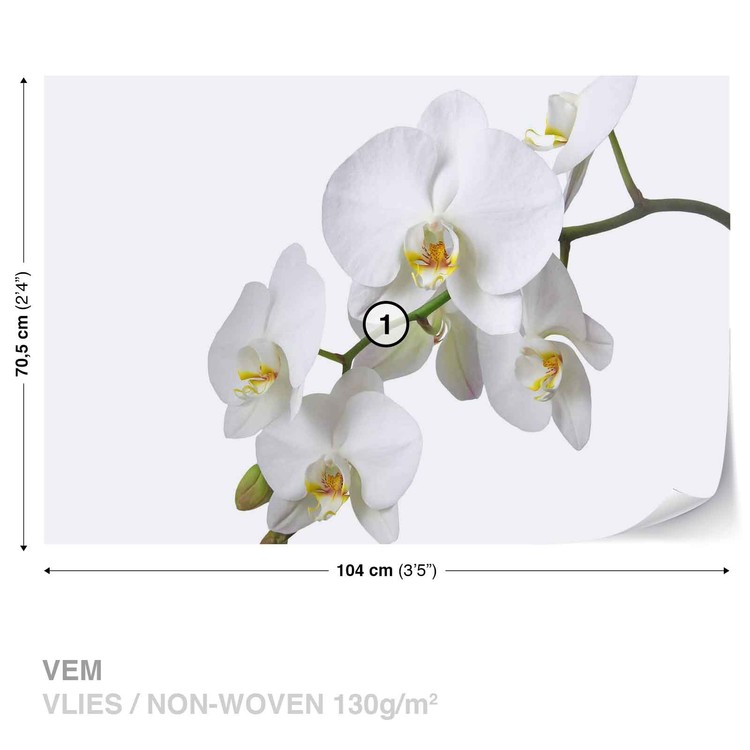 Papel de parede Flowers Orchids Nature White