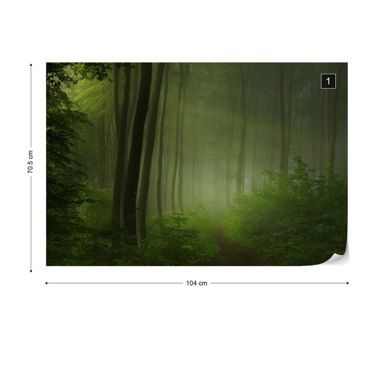 Papel de parede Forest Morning