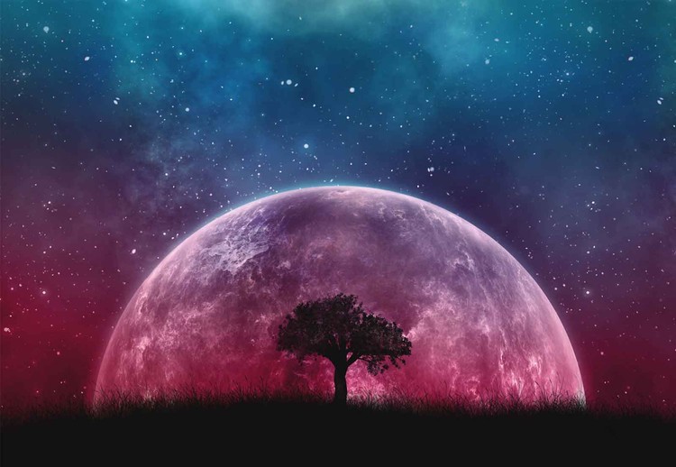 Papel de parede Galaxy Tree