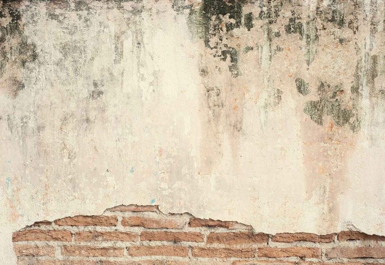 Papel de parede Grunge Wall