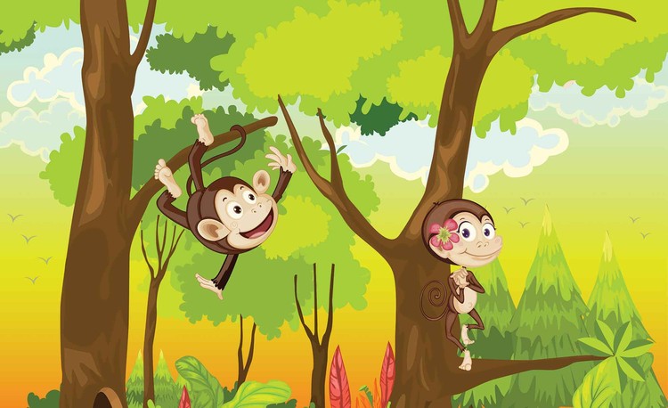 Papel de parede Monkeys Boys Bedroom