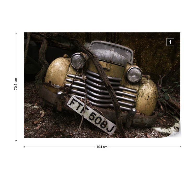 Papel de parede Opel Olympia