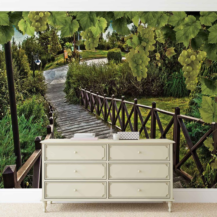 Papel de parede Path Grapes Nature