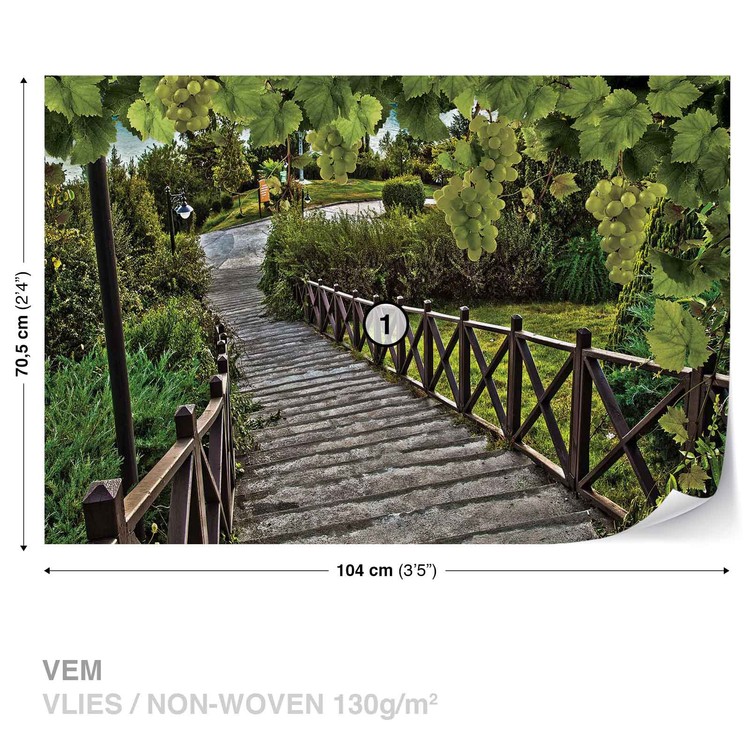 Papel de parede Path Grapes Nature