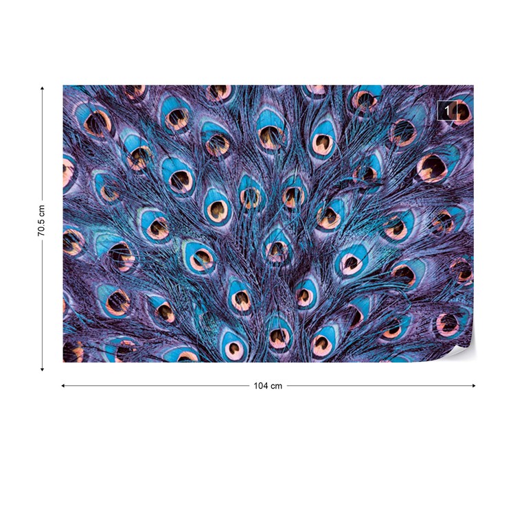Papel de parede Peacock Feathers Blue And Purple