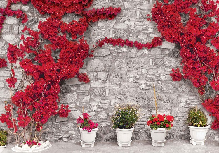 Papel de parede Red Flowers Stone Wall