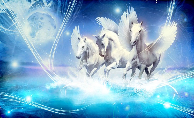 Papel de parede Winged Horse Pegasus Blue