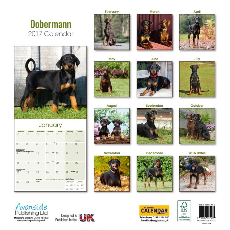 Calendar 2021 Dobermann