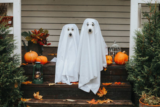 Наклейка dog ghost for halloween