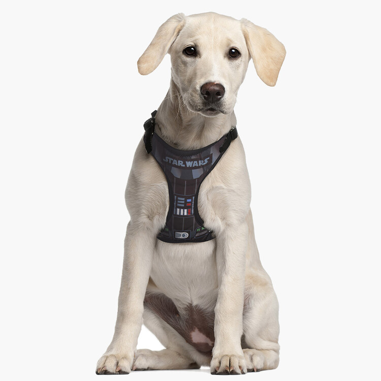 star wars dog harness