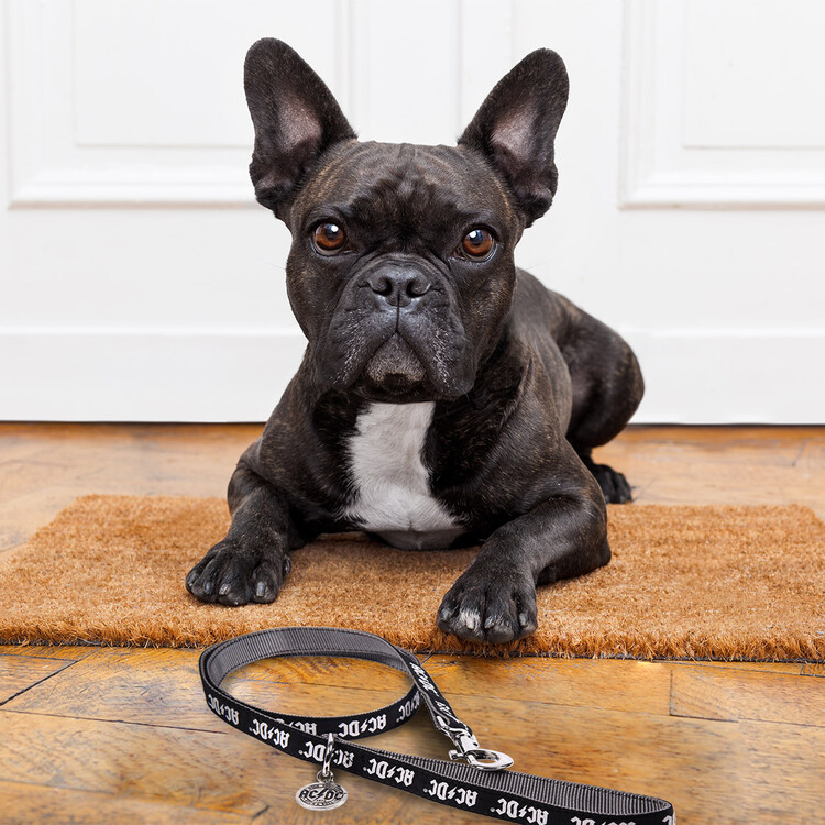 Dog Lead - ACDC