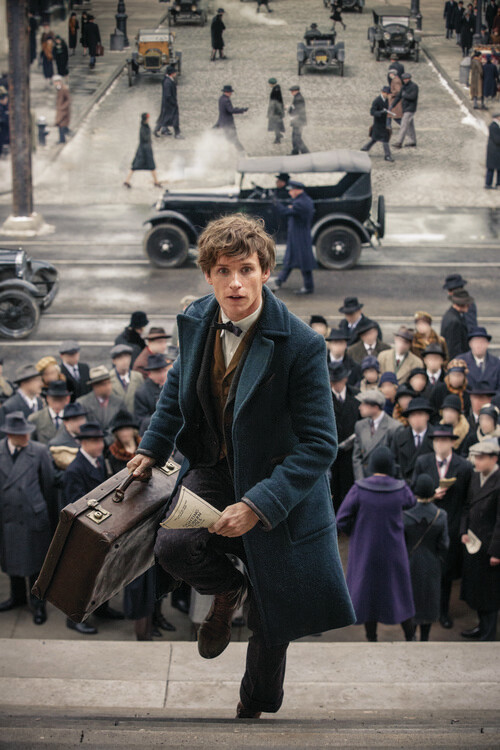 Sticker Fantastic Beasts - In rush