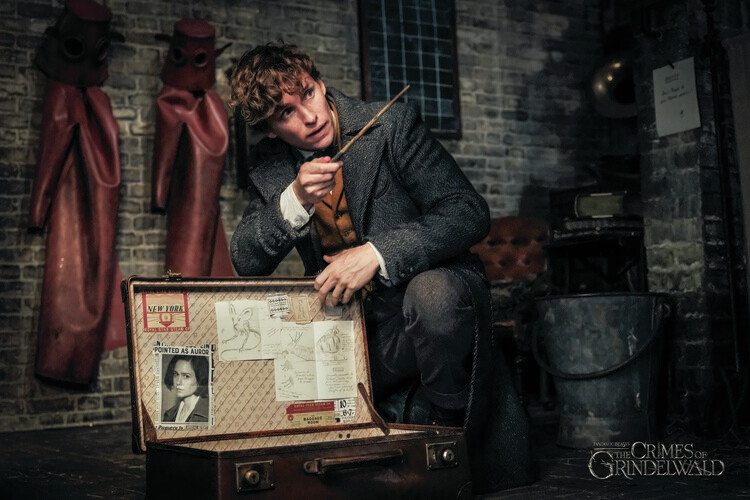 Sticker Fantastic Beasts - Newt and magic case