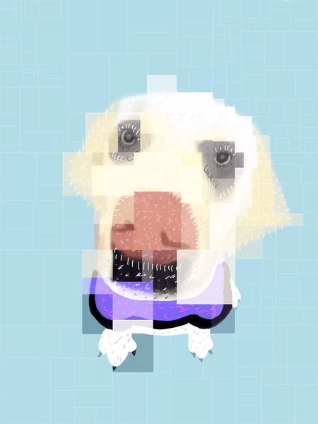 the clever dog