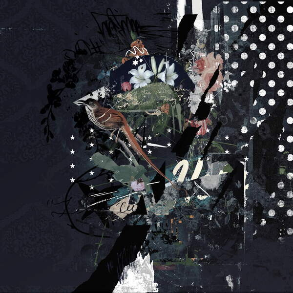 Seinätarra Floralbirds, 2017