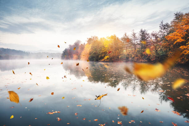 Μπλουζάκι Flying Autumn Leaves