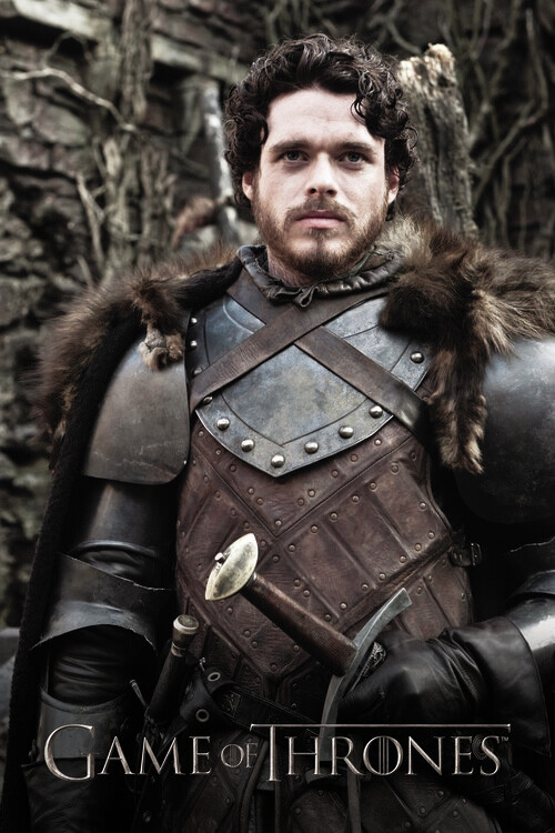 Tapet Game of Thrones - Robb Stark