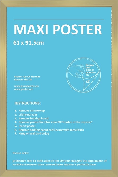 maxi poster frame