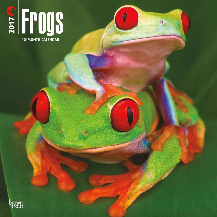 Calendar 2021 Frogs