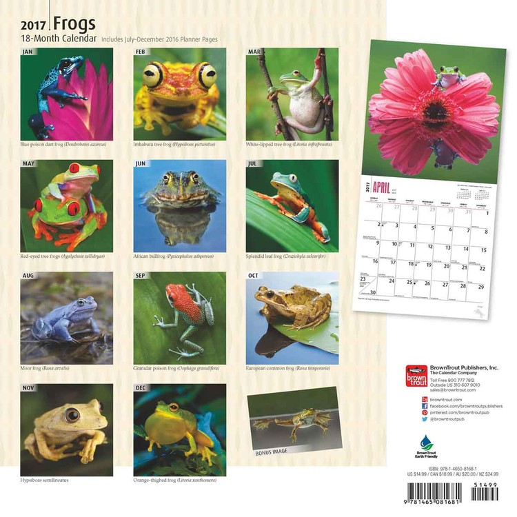 Calendar 2021 Frogs