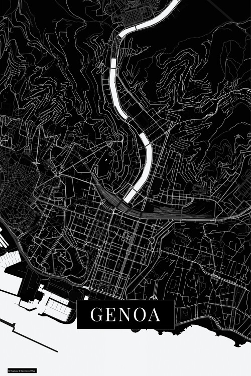 Фотошпалери Genoa black
