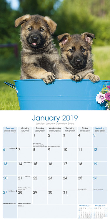 German Shepherd Wall Calendars 2022 Large Selection