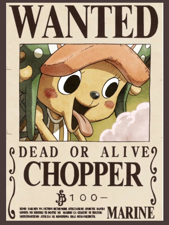 Gift set One Piece - Wanted Chopper & Brook