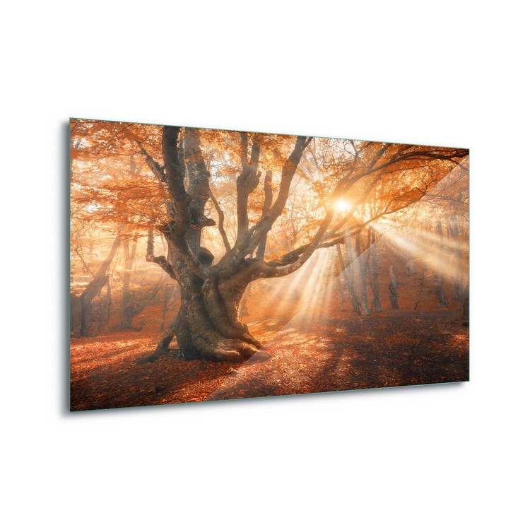 Glass Art  Autumn Magic