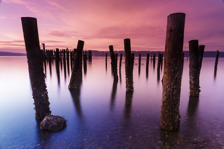 Glass Art Wooden Landing Jetty - Colored Jetty
