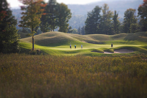 Poster golfers golfing on a golf course