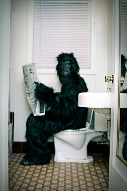 Sticker Gorilla Uses a Vintage Bathroom While