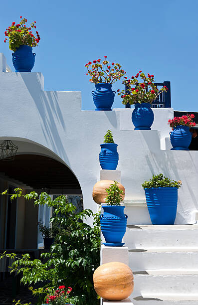 Μπλουζάκι Greece