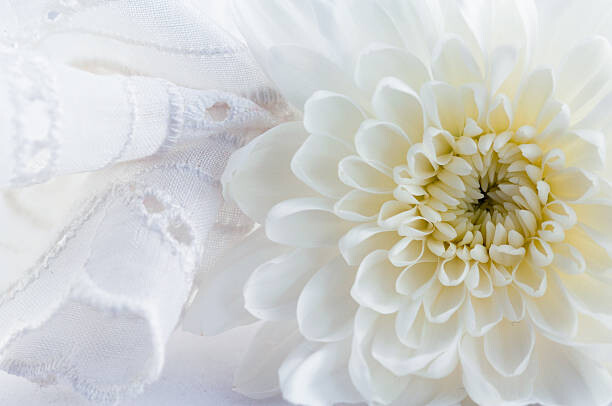 Μπλουζάκι Green chrysanthemum