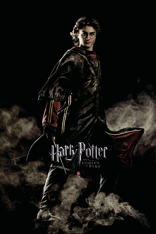 Klistremerke Harry Potter and the Goblet of Fire - Harry