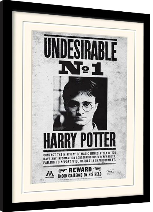 Framed poster Harry Potter - Undersirable No1