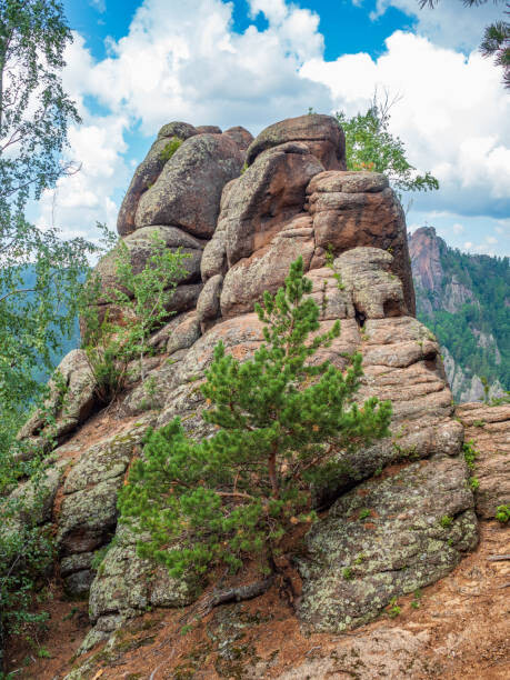 Μπλουζάκι High forest rocks for advanced hiking